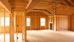 WhatsApp Image 2025-07-29 at 10.04.01 AM (1)